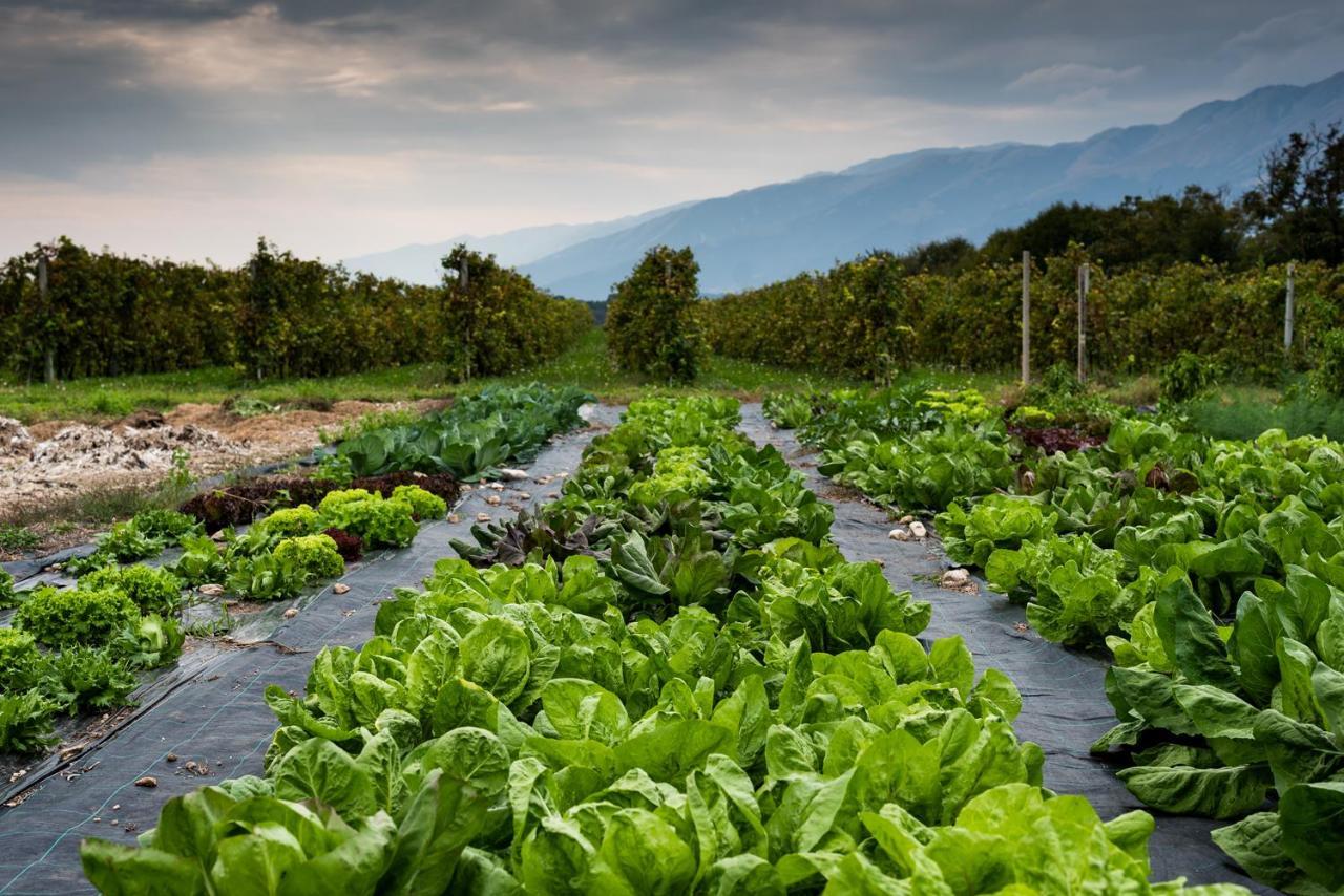 Hotel Agriturismo Al Luogo Del Giulio Maniago Eksteriør billede