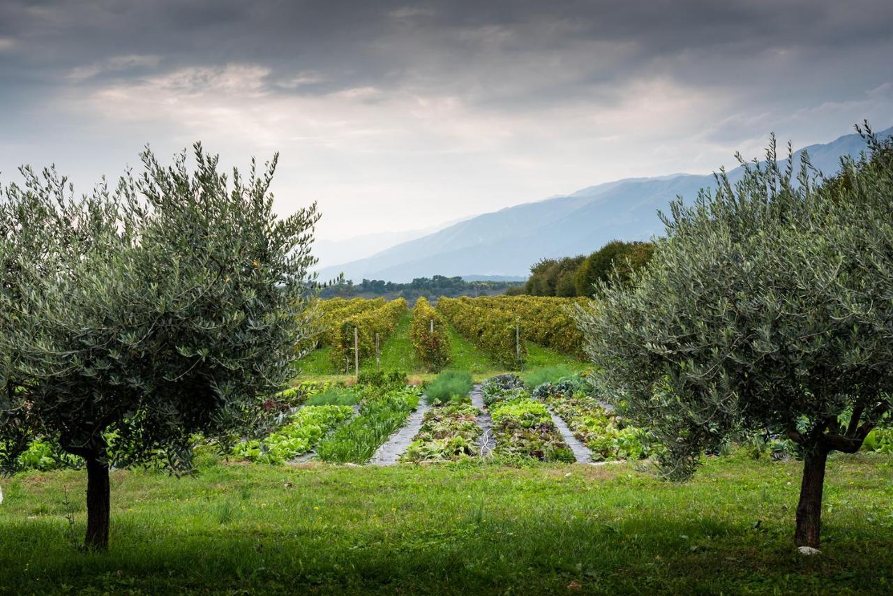 Hotel Agriturismo Al Luogo Del Giulio Maniago Eksteriør billede